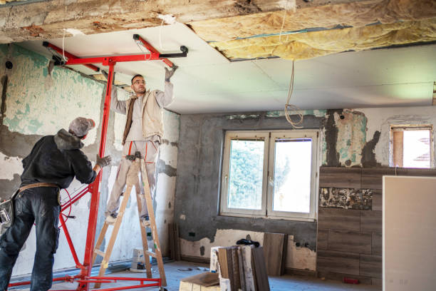 Types of Insulation We Offer in Loughman, FL