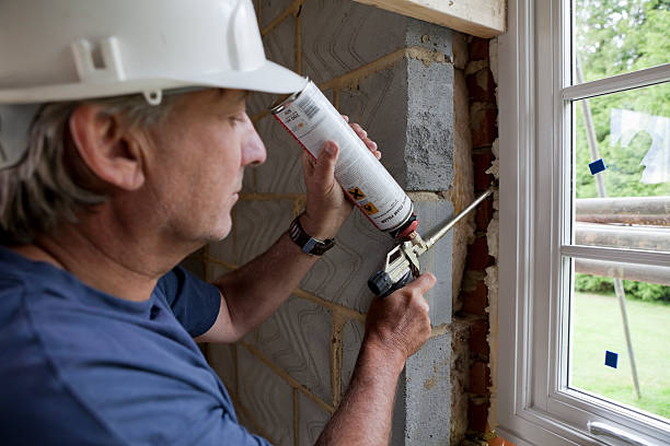 Best Cellulose Insulation in Loughman, FL